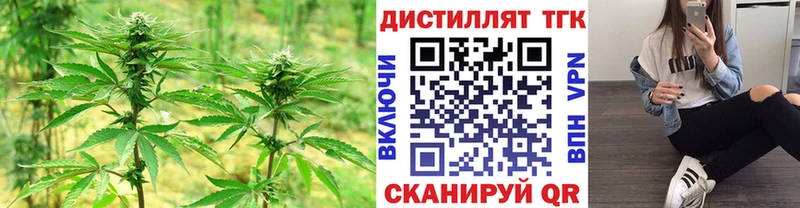 ТГК Wax  купить  цена  Иннополис 