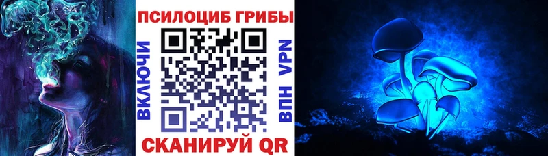 это клад  Иннополис  Галлюциногенные грибы мухоморы  где продают наркотики 